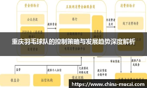 重庆羽毛球队的控制策略与发展趋势深度解析